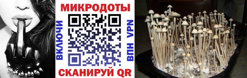 ОМГ ОМГ онион  Избербаш  Псилоцибиновые грибы MAGIC MUSHROOMS 