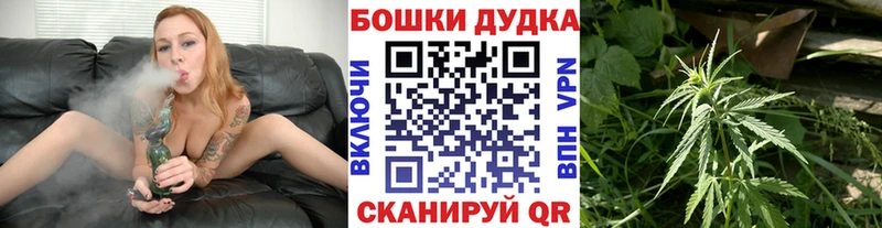 Бошки марихуана сатива  Избербаш 